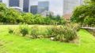 ソーラー時計があります