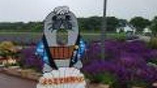 ラベンダーは見頃を迎え始めました。