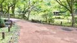 鶴の噴水があります