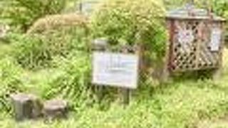 ペリカン噴水の近くにありました