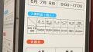 蓮がきれいです！