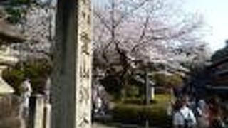 石畳の坂道が着物姿にマッチします。