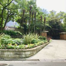 周辺は緑とお花がいっぱい。百合も満開でした