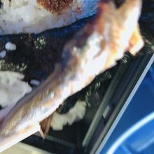 ししゃも苦いかしょっぱいか