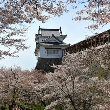 素晴らしい城の姿