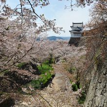 ドラマチックな構図だ