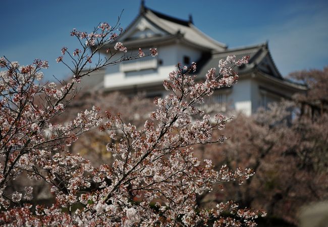 津山のおすすめ観光スポット クチコミ人気ランキングtop フォートラベル 岡山県