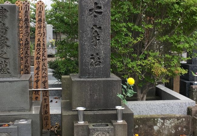 太宰治の墓 クチコミ アクセス 営業時間 吉祥寺 三鷹 フォートラベル