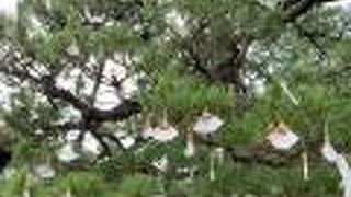 天橋立を訪れた時にお参りしました。