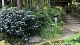 浄智寺の参道入口の古井戸