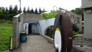 旭川市旭山動物園 ぺんぎん館