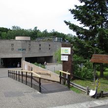 旭川市旭山動物園 もうじゅう館