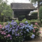 茅葺屋根の山門がみごと