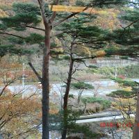 部屋からの眺め