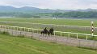 ペンション「馬の宿」の紹介で中に入りました