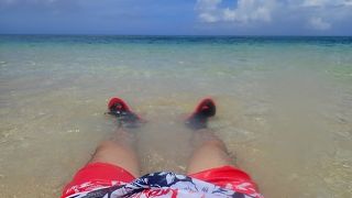 吉野か新城か・・・初日は吉野へ