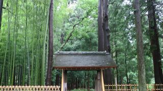 梅見の名所だが梅がなくても楽しめる