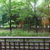 お部屋からの眺めです。