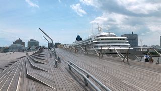 くじらのせなか