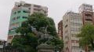 けっこう目立つ