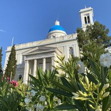 常夏フラワーと一緒に