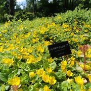 とても広い敷地に色々季節のお花が沢山咲いていて・1日ノンビリ出来そうですね。