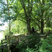 木陰でイスなどあり休憩出来ます。