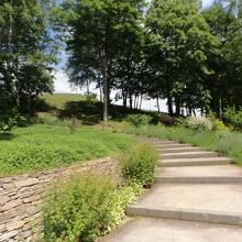 フラテッロ・ディ・ミクニ