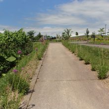 階段を登って来たら、さっきnimame車を止めた場所が前方に