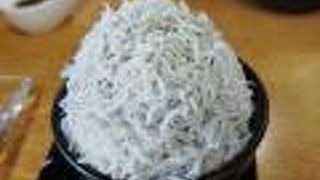 加太の新鮮な魚介