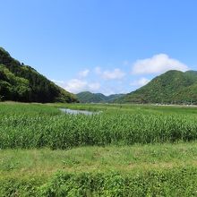 それなりに広いので純粋に徒歩できびしいです