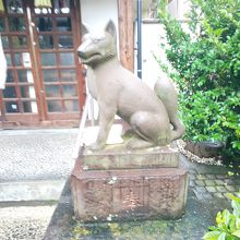 狛犬？お狐さま