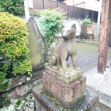 お狐さま ｢狛犬｣的な？