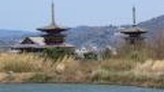 池の南側が薬師寺を一望できるビュースポット