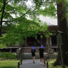 海外からも訪れていました。