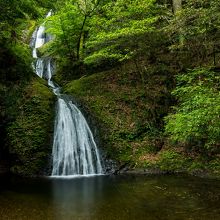 七段の滝、滝壺には落ち葉のグルグル