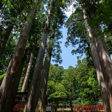 鳳来山東照宮参道