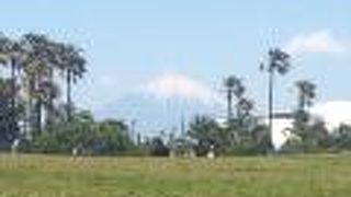 富士山も見えます