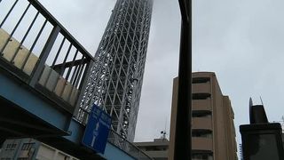 スカイツリーはランドマーク。どこからも見られます。