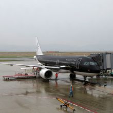 黒が美しい機体。