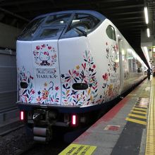 キティはるか。