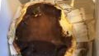 シクスバイオリエンタルホテル