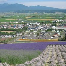 白いラベンダーにも出会えます By ケロケロマニア 北星山ラベンダー園のクチコミ フォートラベル