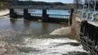 玉川上水のスタート