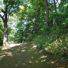 てっぺんの行き来はこんな道を通ります。クマは出ないので大丈夫