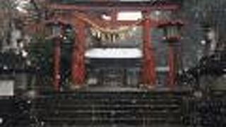 舞う雪が似合いました。