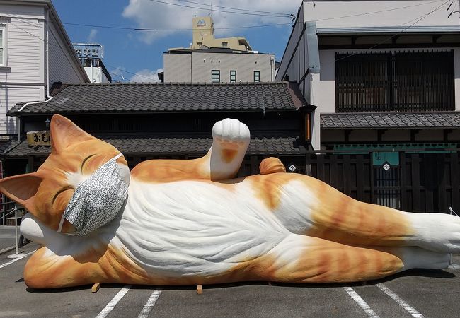 招き猫ミュージアム クチコミ アクセス 営業時間 瀬戸 フォートラベル
