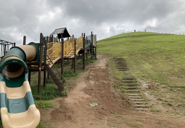 牛久 龍ヶ崎の公園 植物園 クチコミ人気ランキングtop8 フォートラベル 茨城県 牛久 龍ヶ崎の公園 植物園 クチコミ人気ランキングtop8 フォートラベル 茨城県