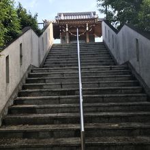 ここを登ります