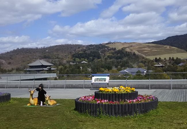 奈良県庁屋上広場 クチコミ アクセス 営業時間 奈良市 フォートラベル 奈良県庁屋上広場 クチコミ アクセス 営業時間 奈良市 フォートラベル